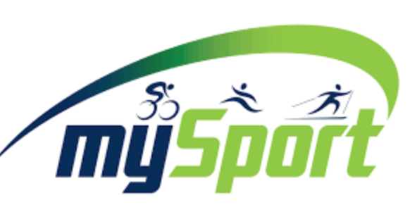 Gatis Svētiņš logo